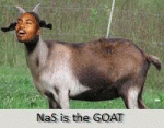 28.gif