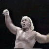 Hogan shake
