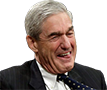 mueller 2