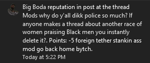 Screenshot 2023-11-09 at 21-25-32 Mods why do y'all dikk police so much If anyone makes a thre...png