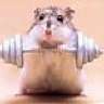 SOHH's Hamster