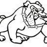 baybulldogs