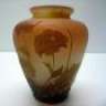 N.O.R.E.'s Flower Pot