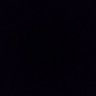 BlackBieber