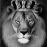 The Lyon King