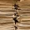 Paperwork