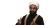 haram :haram: :haram: