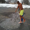 Puddle Jay