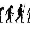 Evolution
