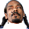 Snoop FOH