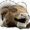 Rams mjcry
