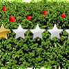 bushes 1 star neg