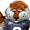 TigerUMad