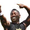 Antonio Brown point