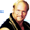 Stunning Steve Austin
