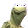 Kermit Glare 3