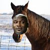 horsemj