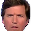 Tucker stare