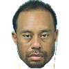 DUI Woods