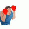 Punch neg