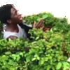 PlayWithYourBush