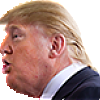 trumpneck