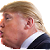 trump neck 2