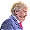 trump neck 3