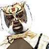 Tiger Mask Gucci