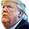 trump neck 4