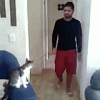 Cat Dab