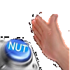 Nut Button