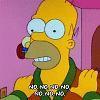 Homer Simpson No No No