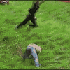 In