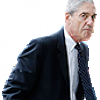 mueller