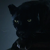 pantherlick