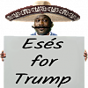 15992-51e9aee4da1f70a79f72b8d96e395ca4.jpg