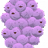 Member Berries