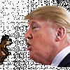piss trump