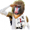 mandrill salute