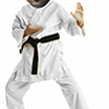 Mjpls Karate