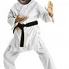 Karate Mjpls Big