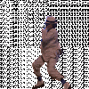 MJ