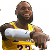 LeBron U Mad Lakers