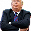 trump arms small