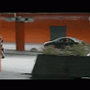 BP Car Chase Neg