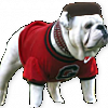 Flabbybulldog