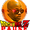 Dbz pause