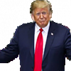 trump arms open
