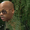 Dame Dash bushes